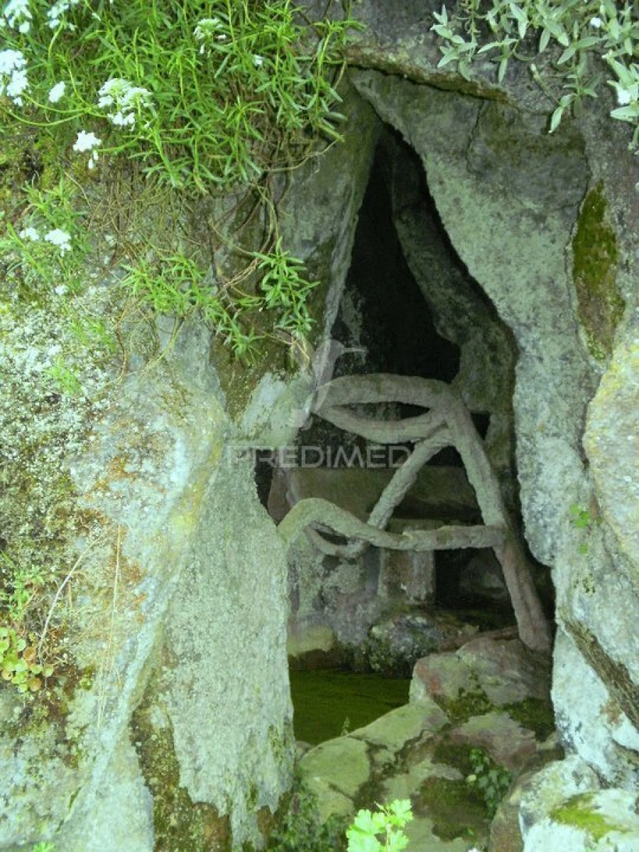 Quinta T6 para Venda em Gouveia (São Pedro e São Julião) Foto 2