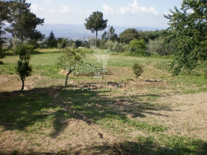 Quinta T6 para Venda em Gouveia (São Pedro e São Julião) Foto 11