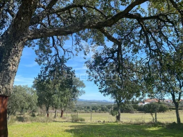 Moradia T5 para Venda em Vale de Prazeres e Mata da Rainha