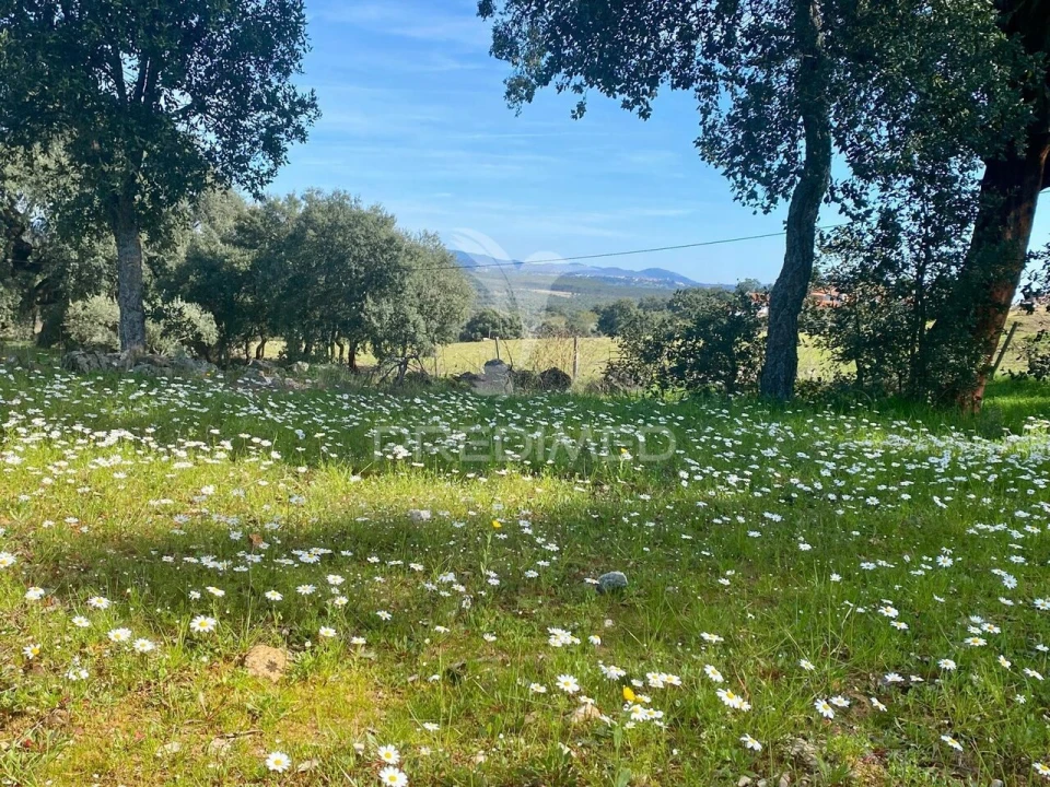 Moradia T5 para Venda em Vale de Prazeres e Mata da Rainha Foto 25