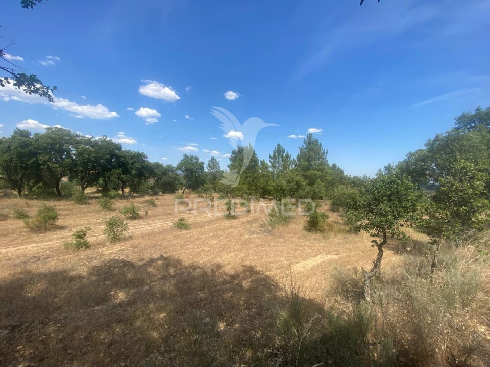 Moradia T5 para Venda em Vale de Prazeres e Mata da Rainha Foto 31