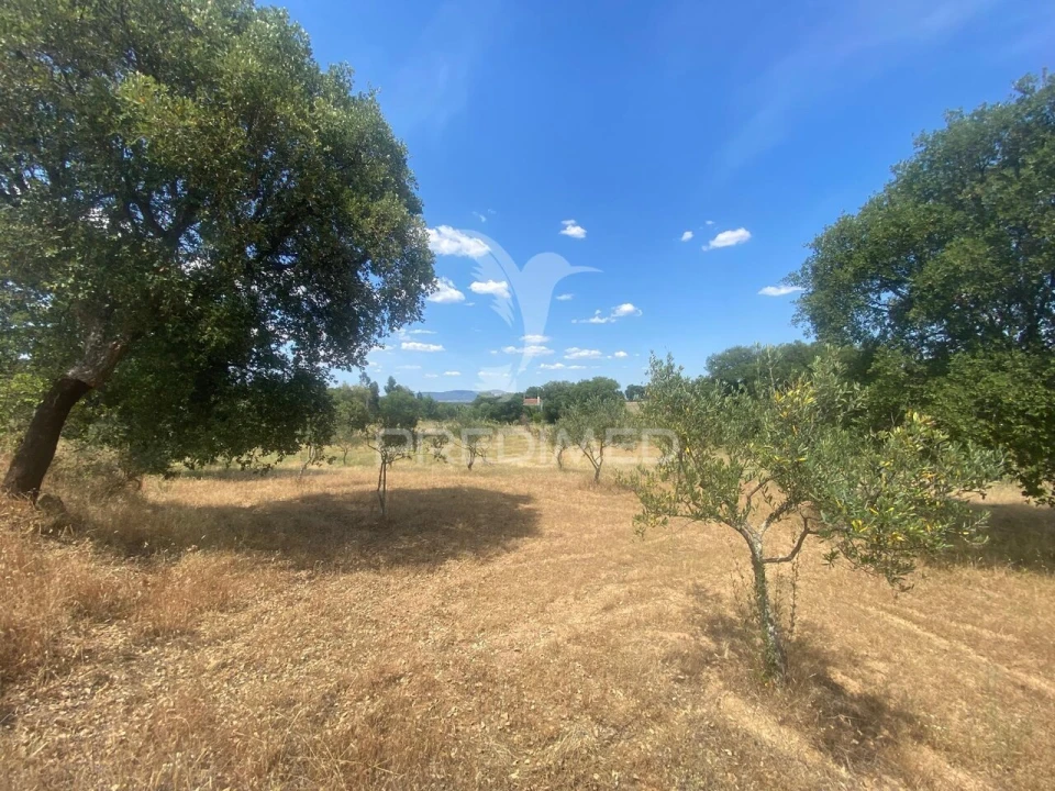 Moradia T5 para Venda em Vale de Prazeres e Mata da Rainha Foto 32