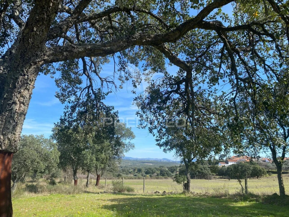 Moradia T5 para Venda em Vale de Prazeres e Mata da Rainha Foto 26