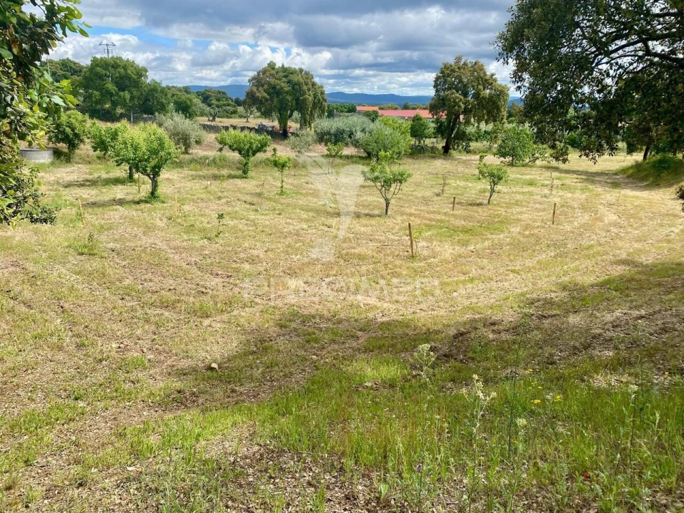 Moradia T5 para Venda em Vale de Prazeres e Mata da Rainha Foto 4