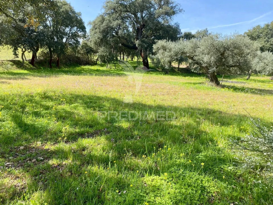 Moradia T5 para Venda em Vale de Prazeres e Mata da Rainha Foto 27