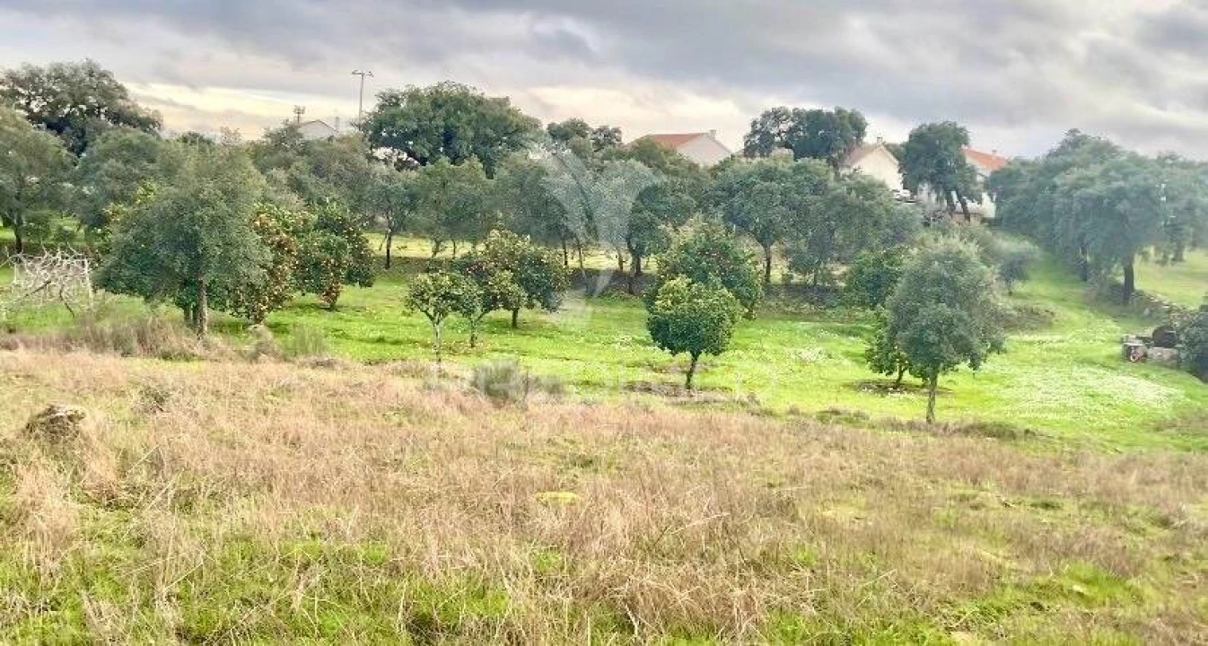 Moradia T5 para Venda em Vale de Prazeres e Mata da Rainha Foto 30