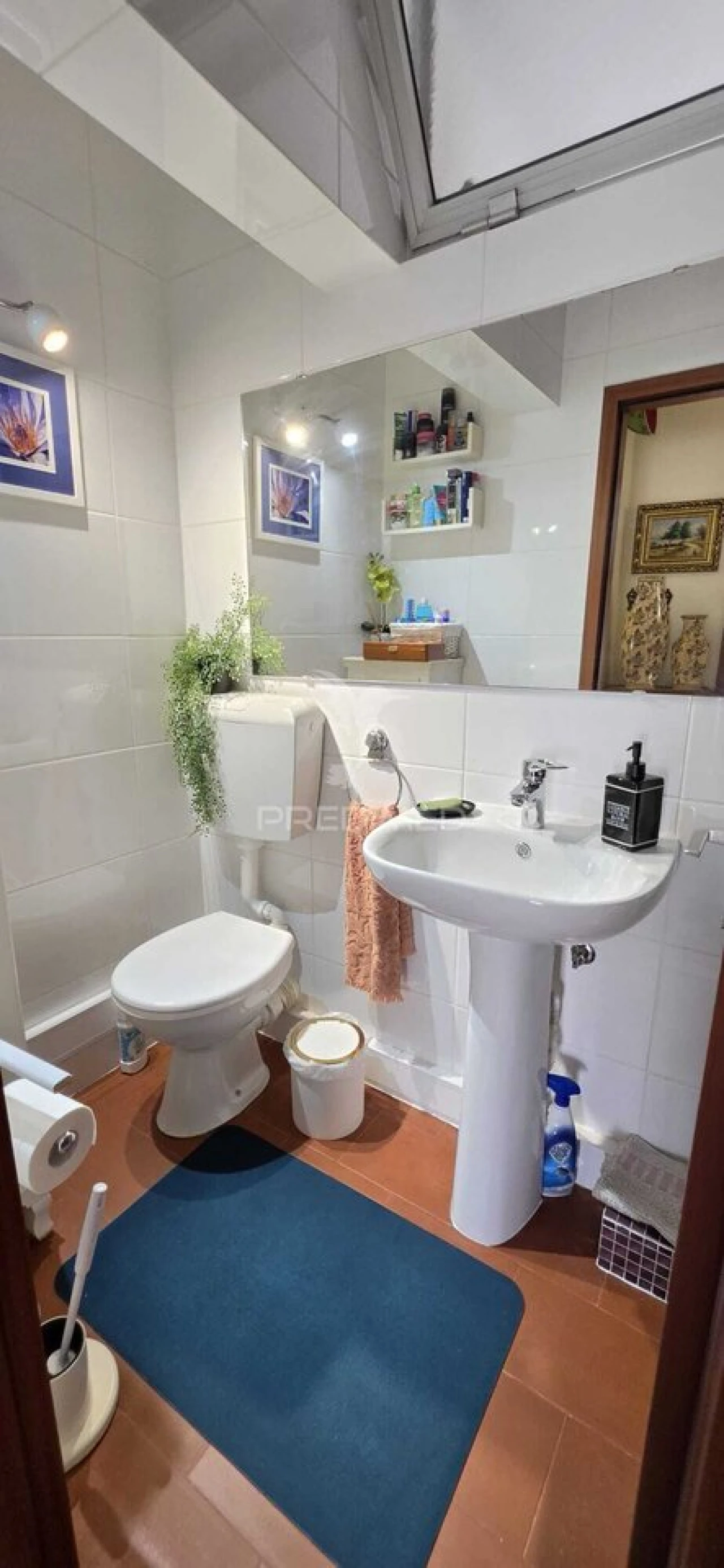 Apartamento T3 para Venda em Sé e São Lourenço Foto 11