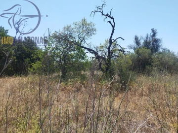Terreno para Venda em São Bartolomeu de Messines