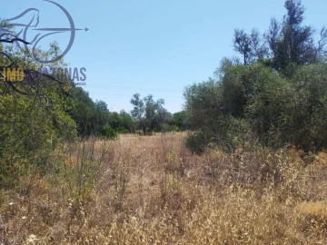 Terreno para Venda em São Bartolomeu de Messines