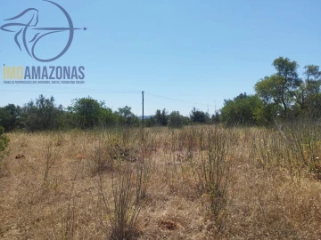 Terreno para Venda em São Bartolomeu de Messines