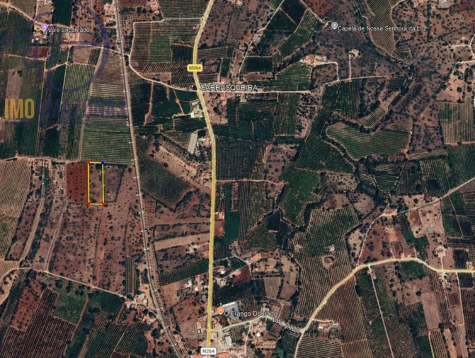 Terreno para Venda em São Bartolomeu de Messines Foto 2