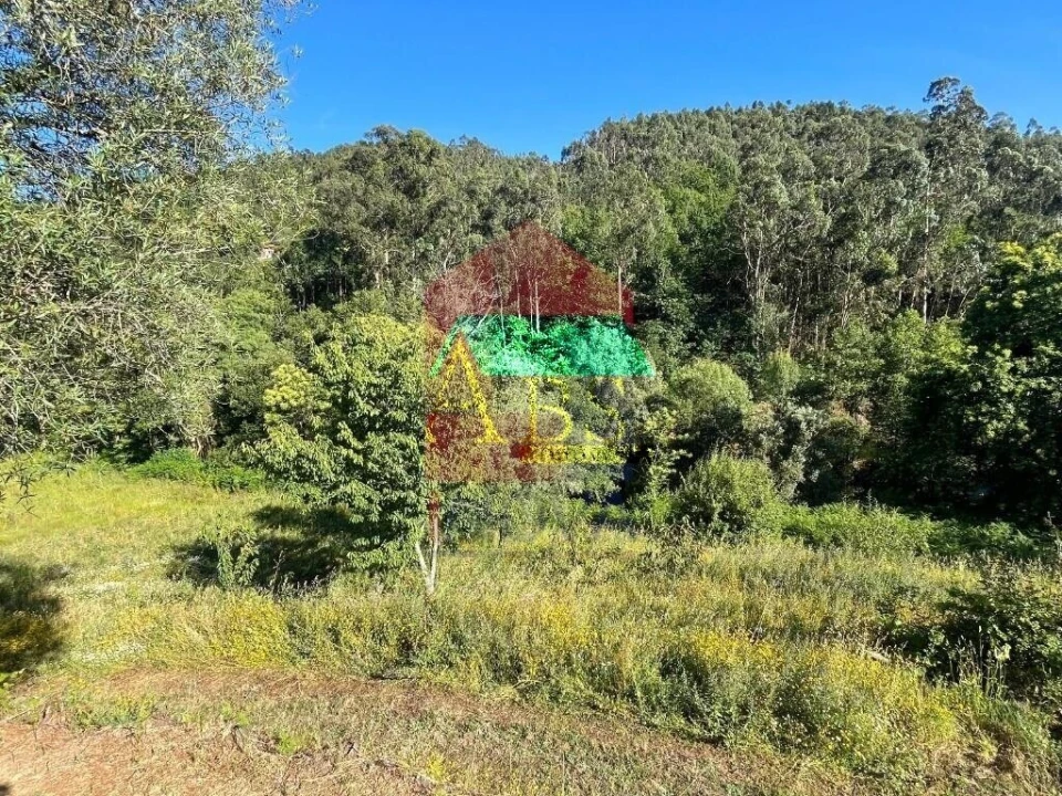 Moradia T1 para Venda em Ribeira do Neiva Foto 9