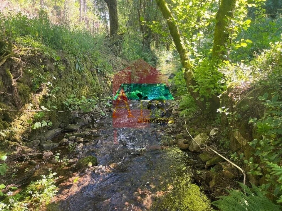 Moradia T1 para Venda em Ribeira do Neiva Foto 11