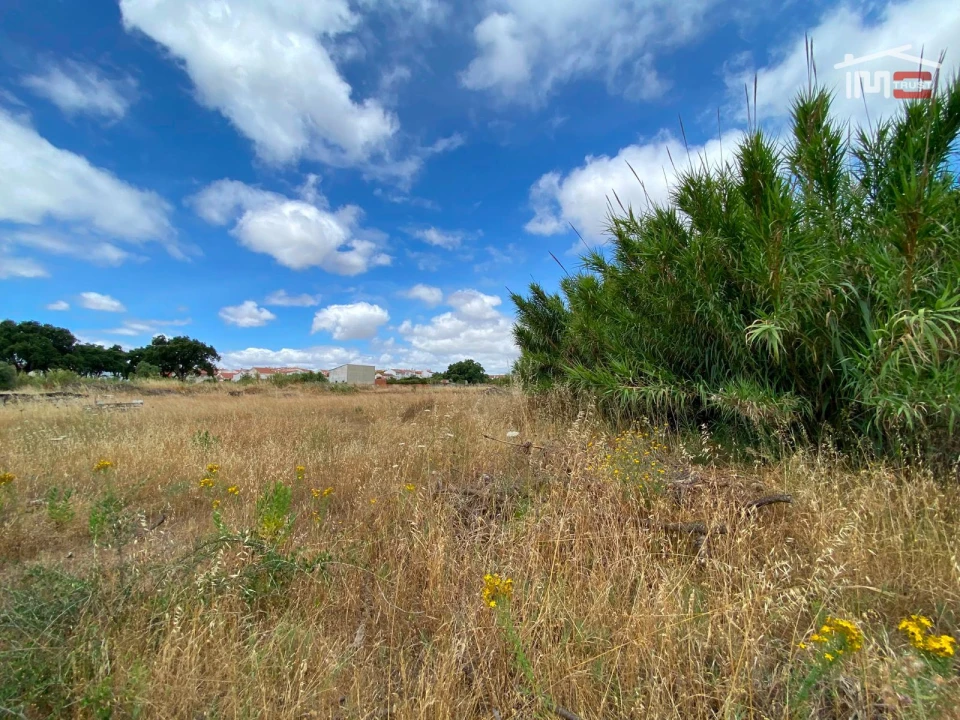 Terreno P/ Prédio para Venda em Pinhal Novo Foto 4
