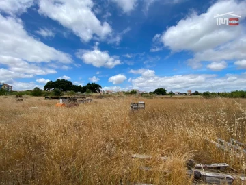 Terreno P/ Prédio para Venda em Pinhal Novo