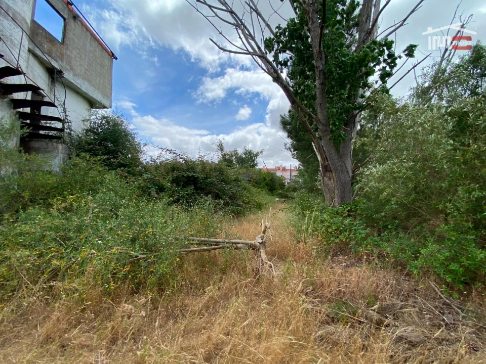 Terreno P/ Prédio para Venda em Pinhal Novo Foto 1