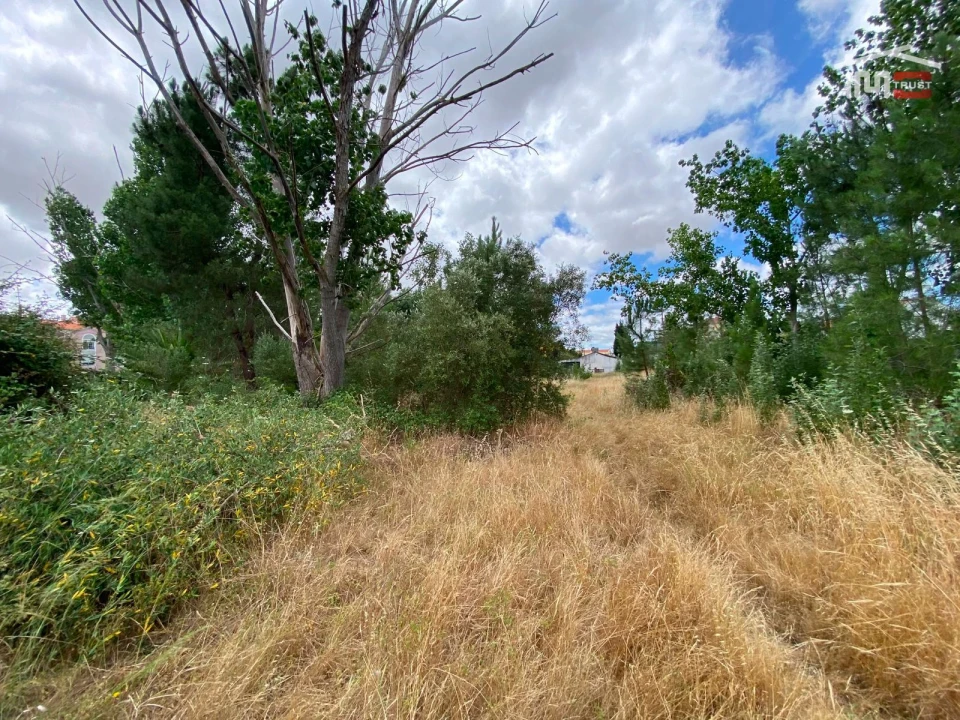 Terreno P/ Prédio para Venda em Pinhal Novo Foto 2