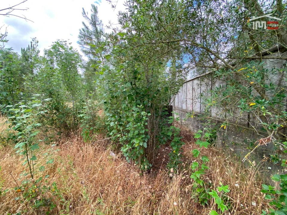 Terreno P/ Prédio para Venda em Pinhal Novo Foto 3