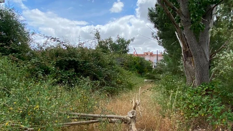 Terreno P/ Prédio para Venda em Pinhal Novo