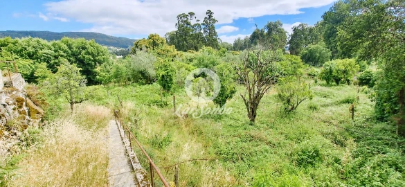 Quinta T6 para Venda em Barroselas e Carvoeiro