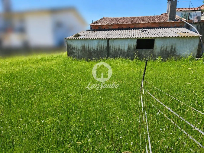 Terreno para Venda em Rates Foto 5