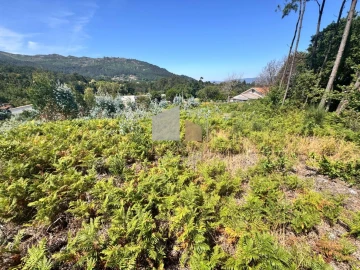 Terreno para Venda em Reboreda e Nogueira