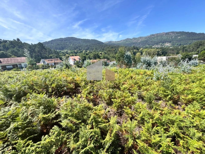 Terreno para Venda em Reboreda e Nogueira Foto 2