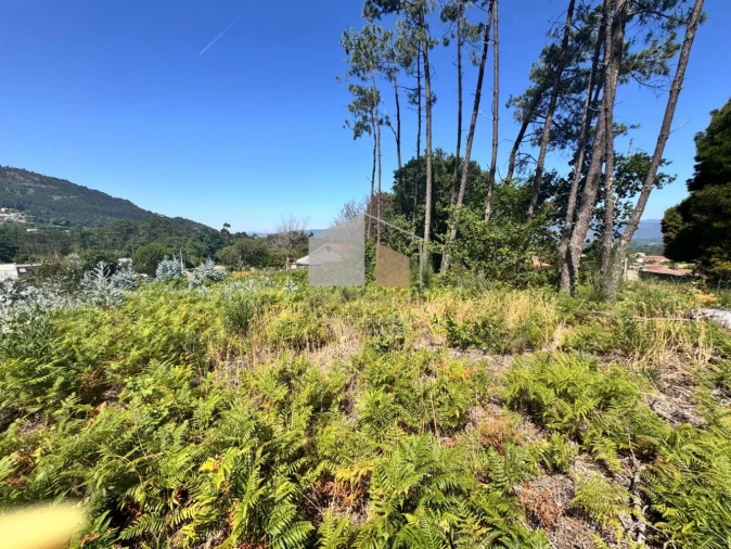 Terreno para Venda em Reboreda e Nogueira Foto 6
