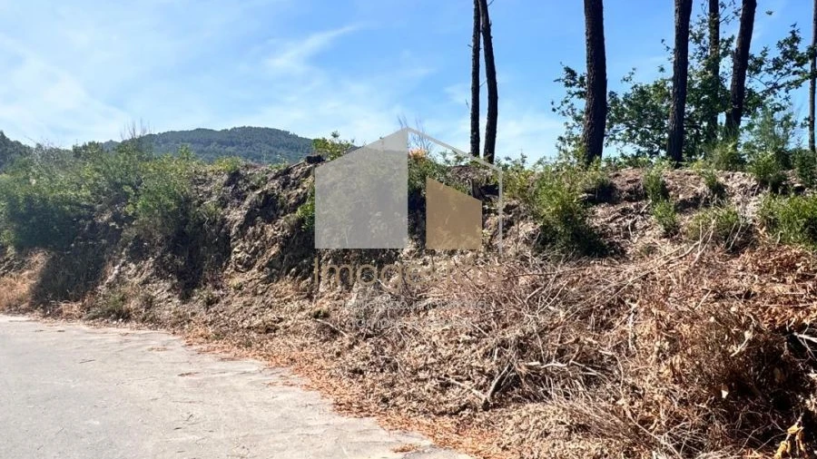 Terreno para Venda em Reboreda e Nogueira