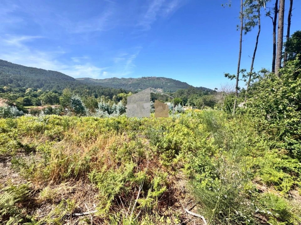 Terreno para Venda em Reboreda e Nogueira Foto 4
