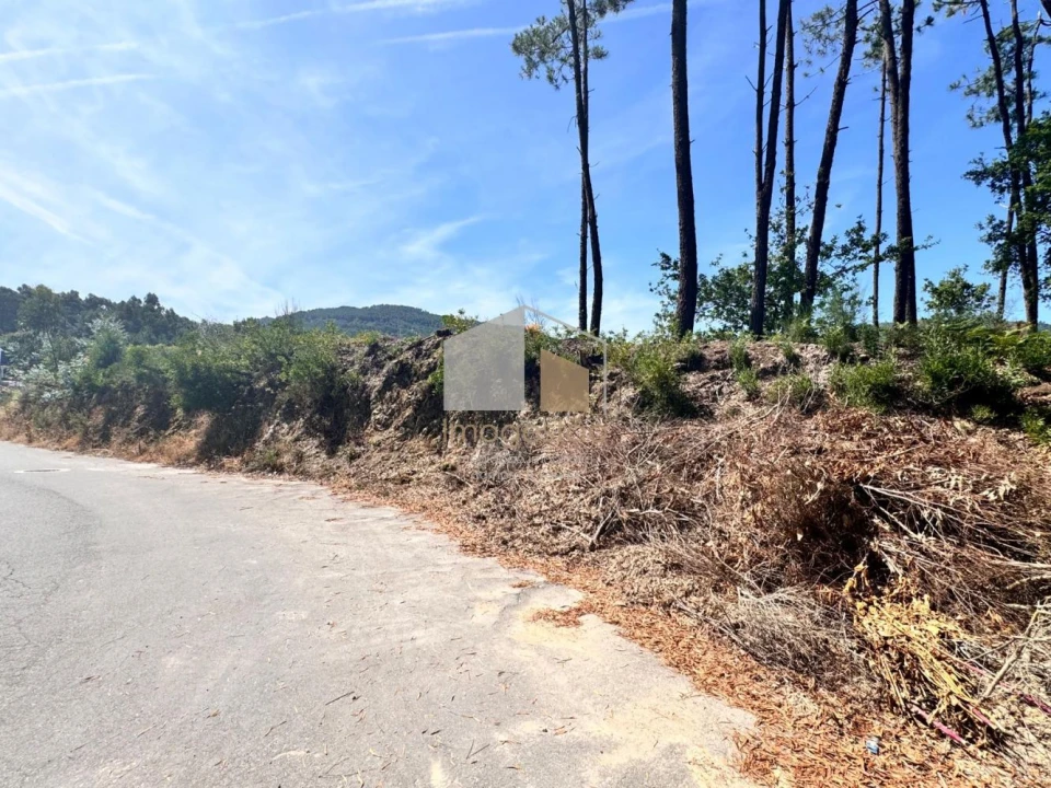 Terreno para Venda em Reboreda e Nogueira Foto 1