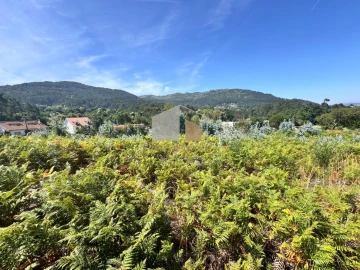 Terreno para Venda em Reboreda e Nogueira