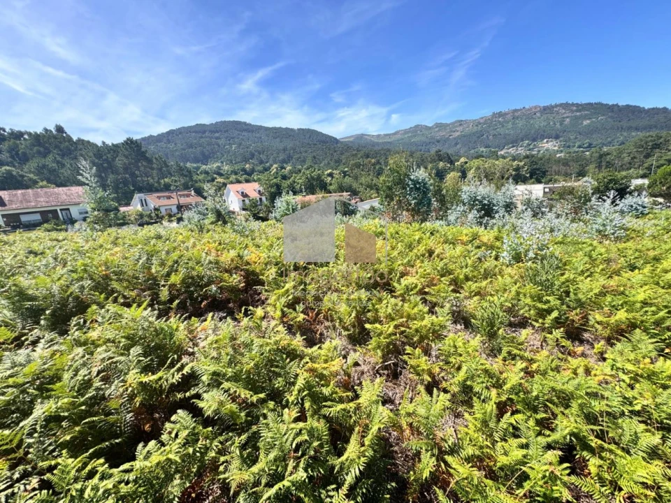 Terreno para Venda em Reboreda e Nogueira Foto 2