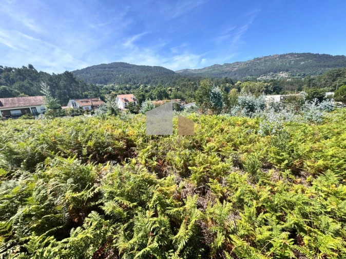 Terreno para Venda em Reboreda e Nogueira Foto 2