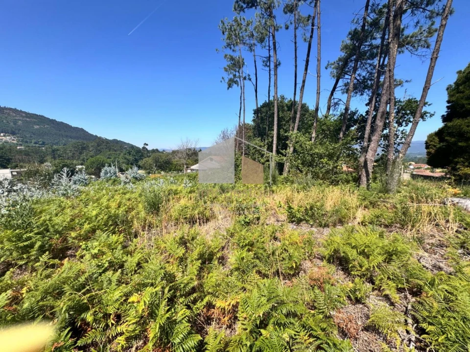 Terreno para Venda em Reboreda e Nogueira Foto 6
