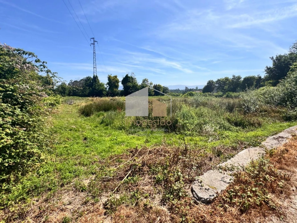 Terreno para Venda em Reboreda e Nogueira Foto 5