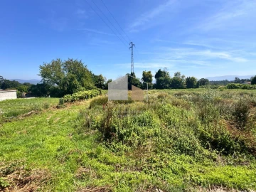 Terreno para Venda em Reboreda e Nogueira