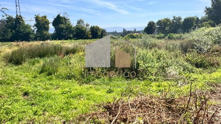 Terreno para Venda em Reboreda e Nogueira