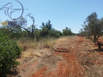 Terreno para Venda em São Bartolomeu de Messines