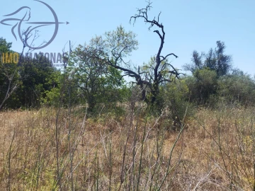 Terreno para Venda em São Bartolomeu de Messines