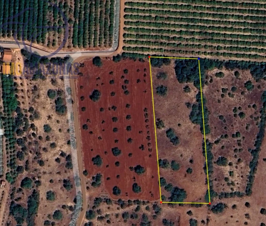 Terreno para Venda em São Bartolomeu de Messines Foto 3