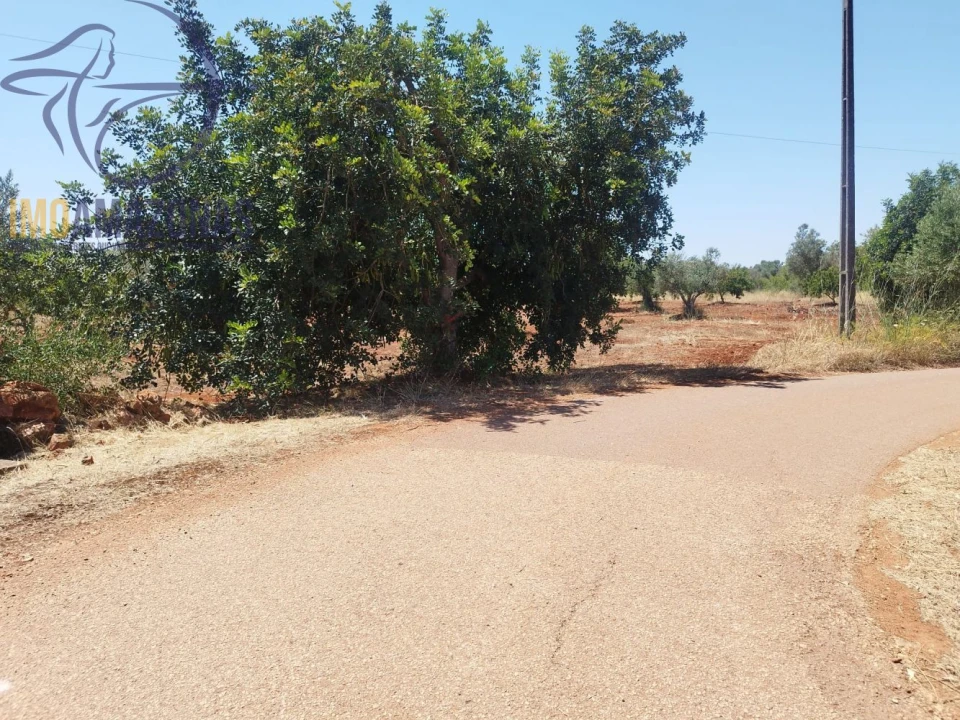 Terreno para Venda em São Bartolomeu de Messines Foto 5