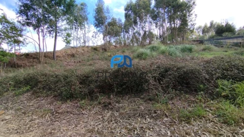Terreno para Venda em Pedroso e Seixezelo