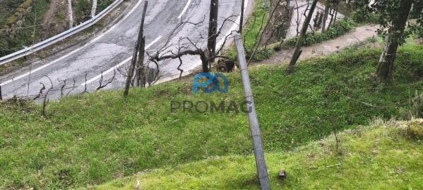 Terreno para Venda em Cinfães