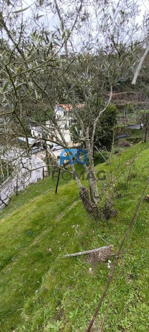 Terreno para Venda em Cinfães