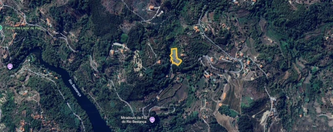 Terreno para Venda em Cinfães