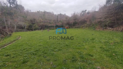 Terreno para Venda em Cinfães