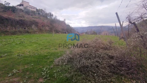 Terreno para Venda em Cinfães