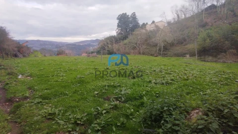 Terreno para Venda em Cinfães