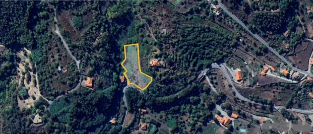 Terreno para Venda em Cinfães